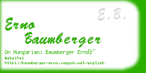 erno baumberger business card